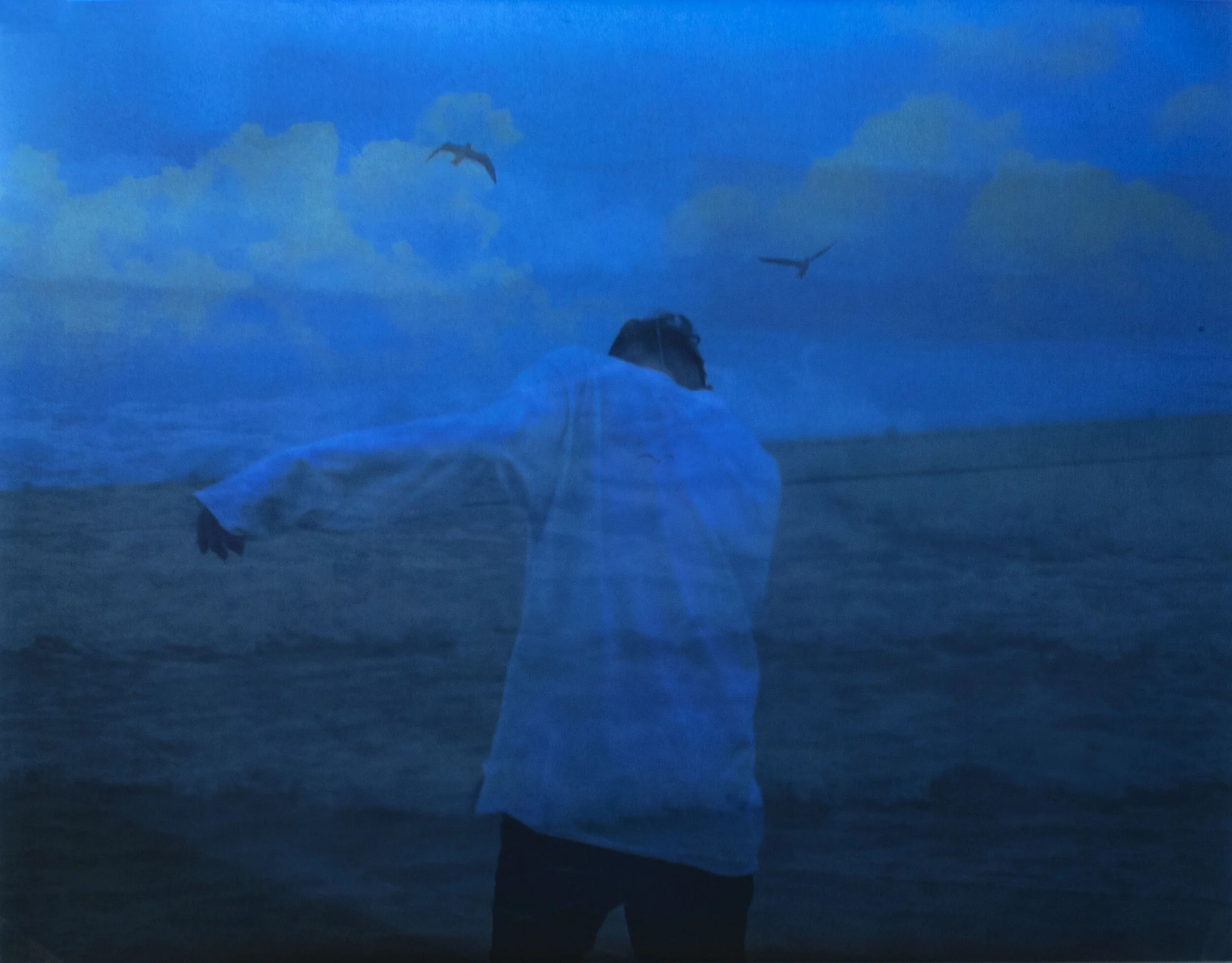 beach seagulls.jpg