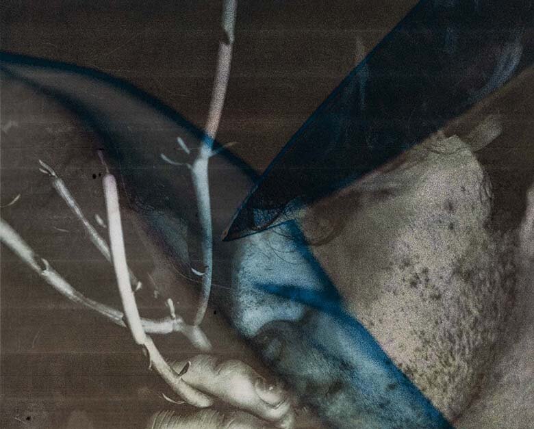 11.vellum2.1.jpg