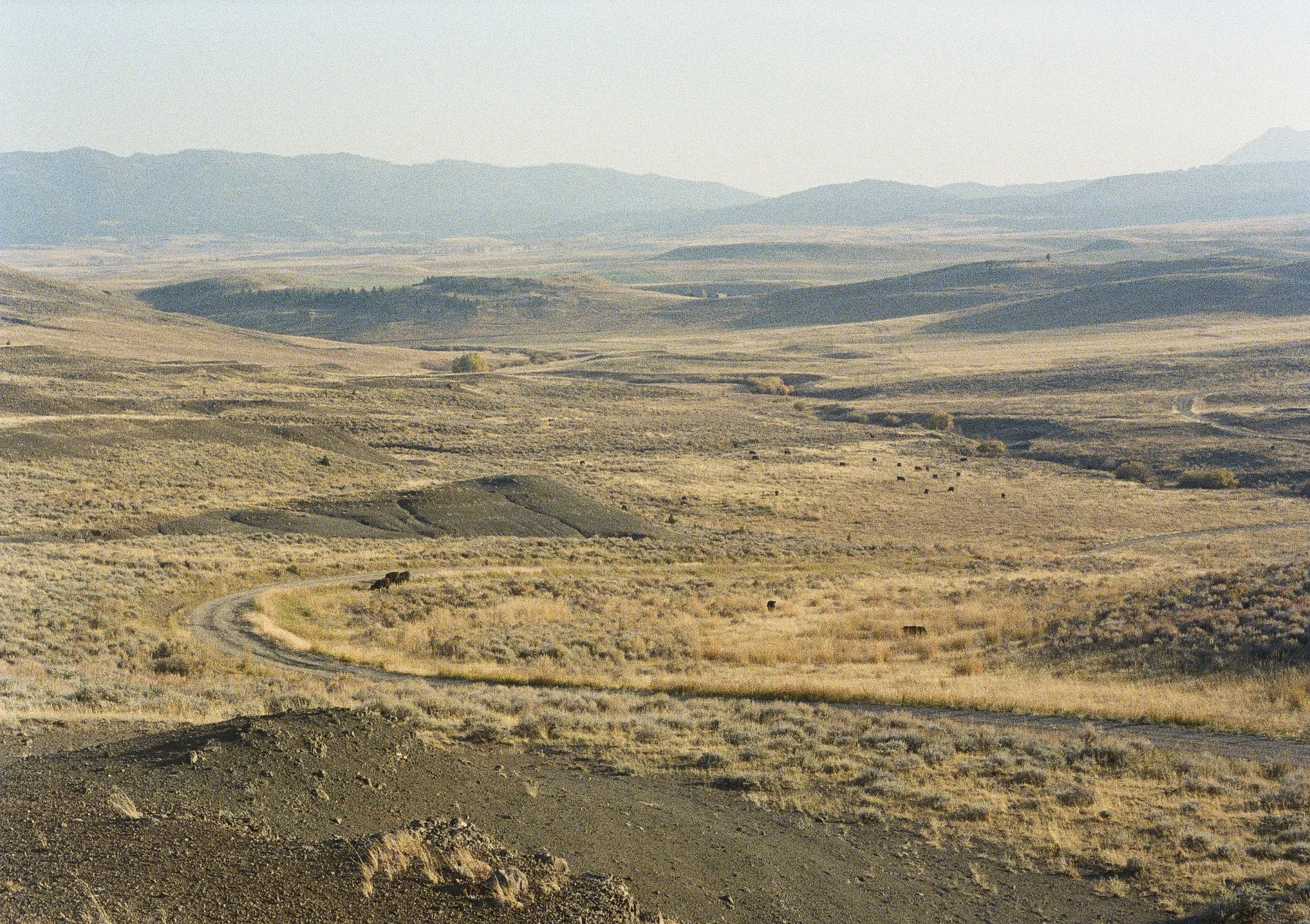 0016_7A.jpg