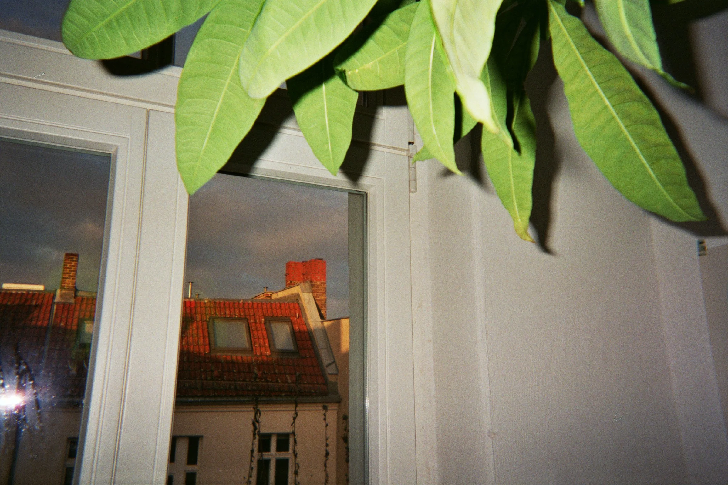 19A_01128.jpg