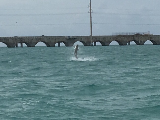 Tarpon Fishing with Florida Keys Fishing Guide