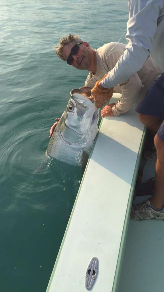 Tarpon, Islamorada, Tony Horsley, Fishing Guide