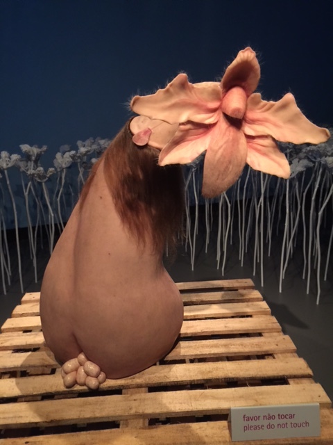 Boot flower. 2015