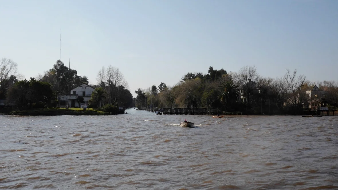 carpe_diem.Today tigre 3.jpg