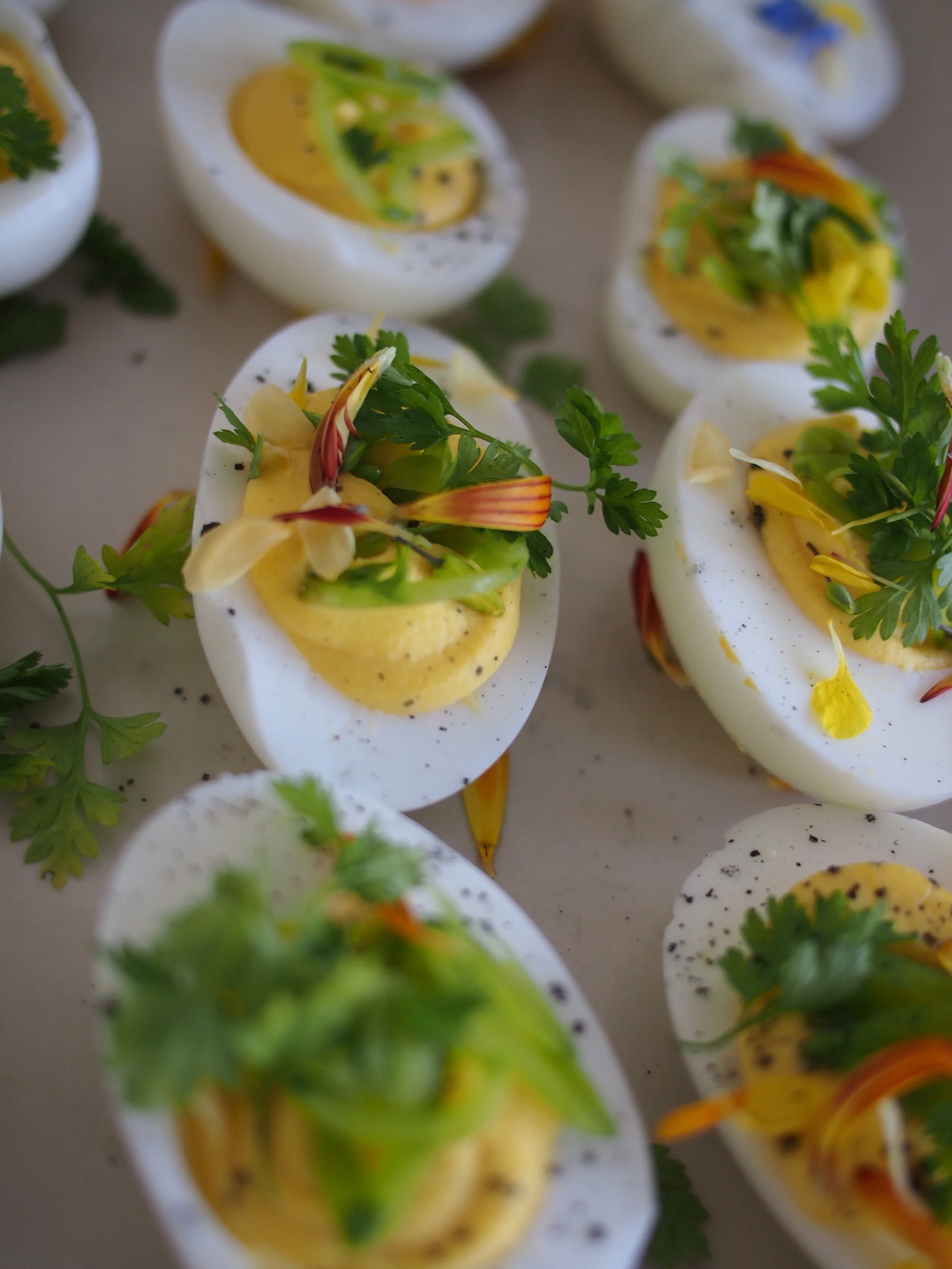 stuffed eggs.jpg