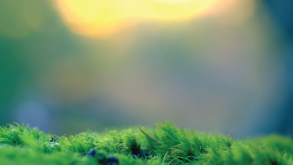 background.jpg