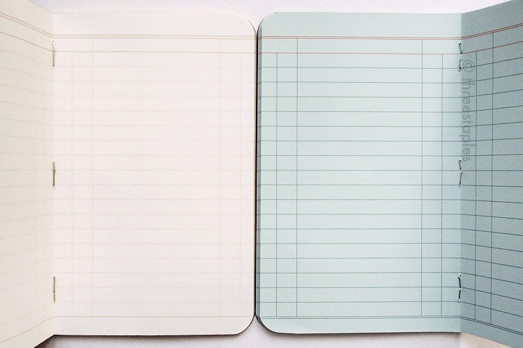 Field Notes ledger books: Ambition (left) and Traveling Salesman (right)