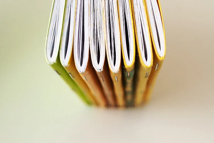 The three books on the far right are all French Paper Pop-Tone in “Lemon Drop.”