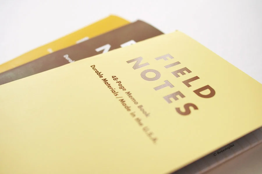 Glossy varnish on the logotype. It's used only on the front. Also, Pale Lager (pale yellow) is the only book where they used brown ink for the logo and texts; all the other books are white (probably the white of the paper). I understand why they went with brown for Pale Lager but wish it was the same as the other books.