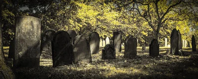 Soulful Connections                                                               by Miriam A. Silver