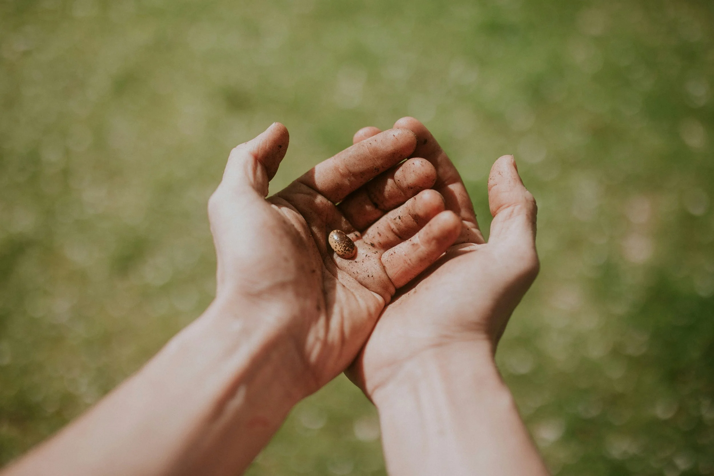 TheRebelRisingBlog:               The Nuance of Paradox