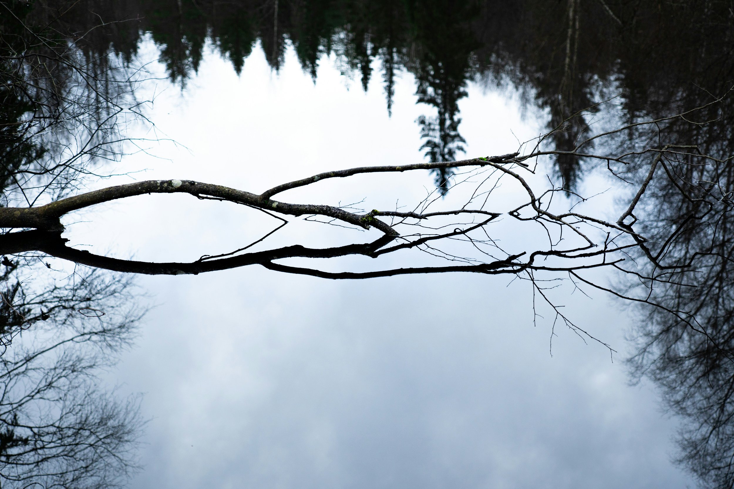 TheRebelRisingBlog:    Judgement, Guilt and Mass Hypnosis