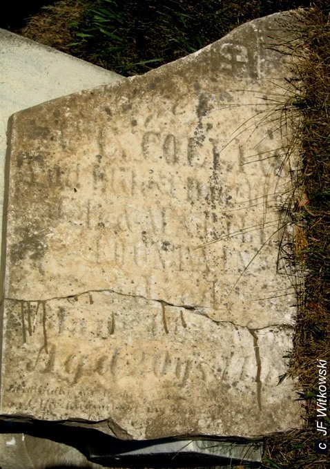 Mary's gravestone says, "wife of c.c. Collins and daughter of John L. and Marilla Fountain aged 20 years and 11 months.