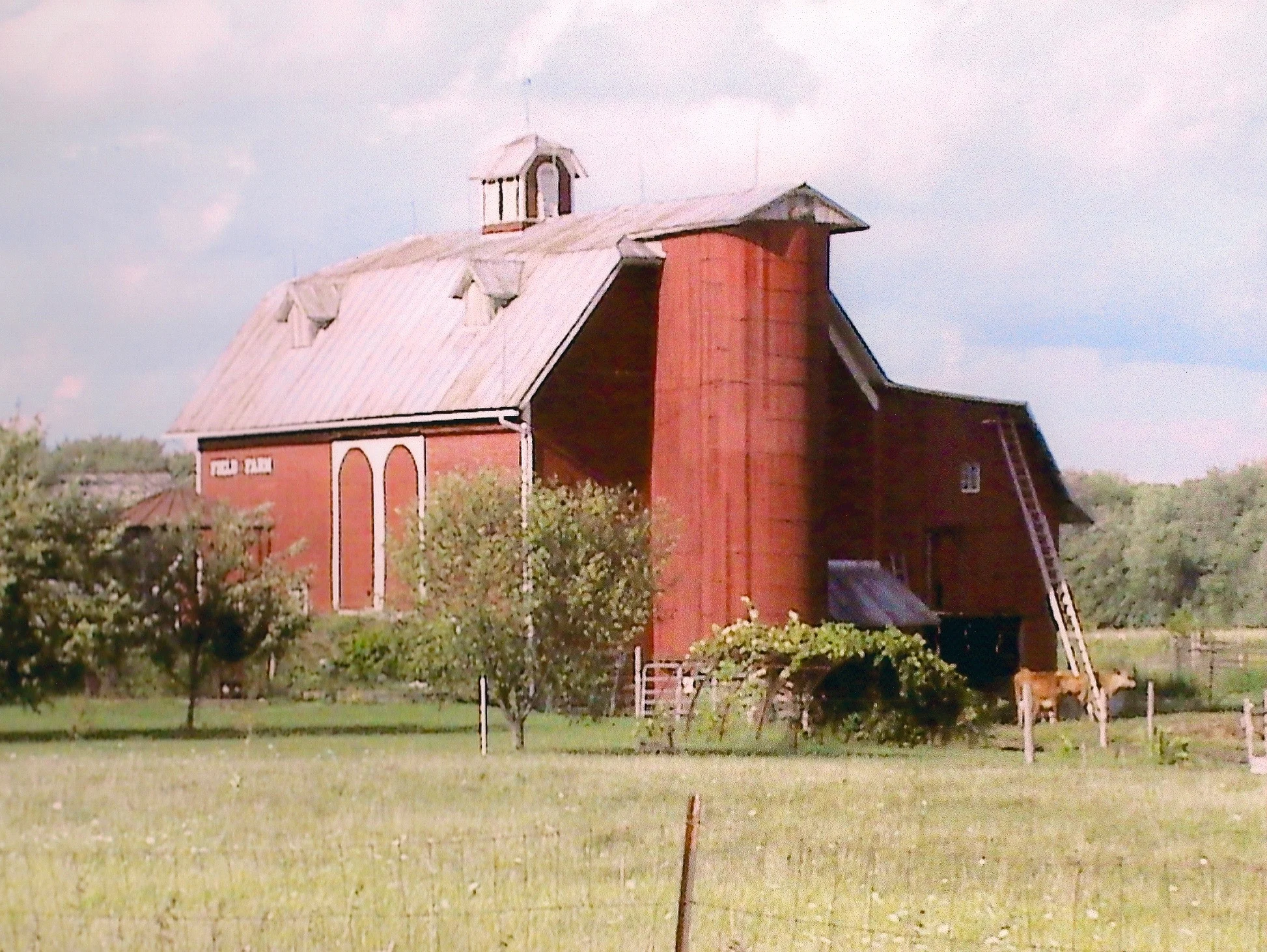barn.jpg