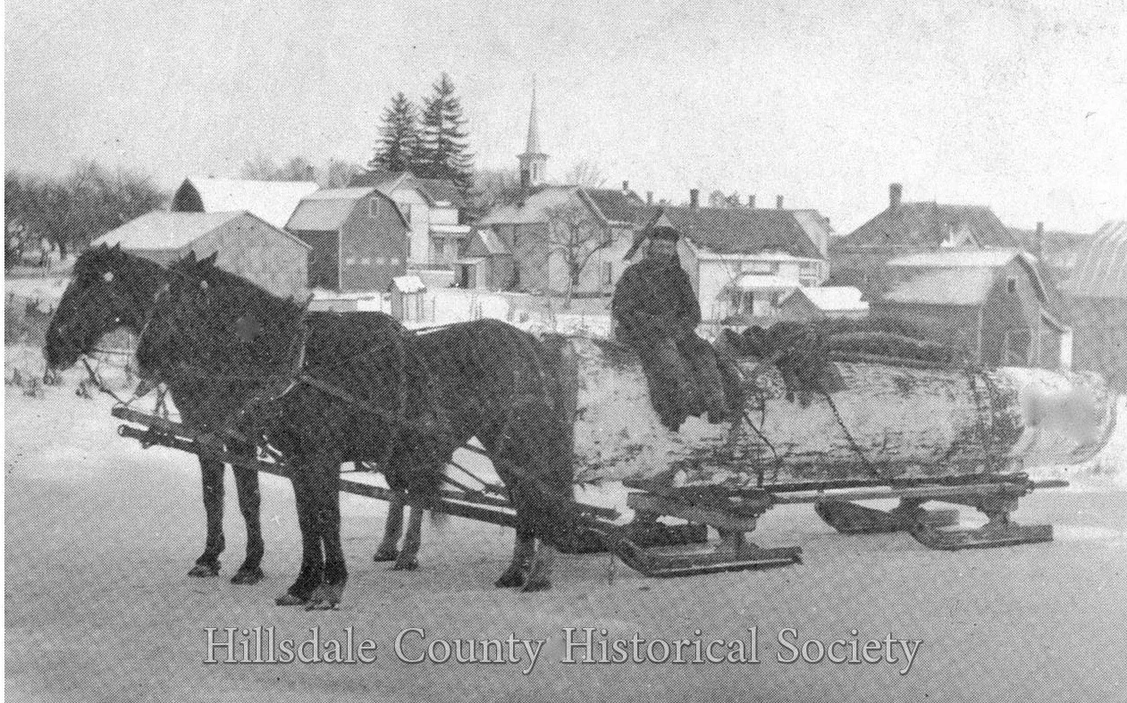 James seely with his team of horses hauling a log in camden in 1908.