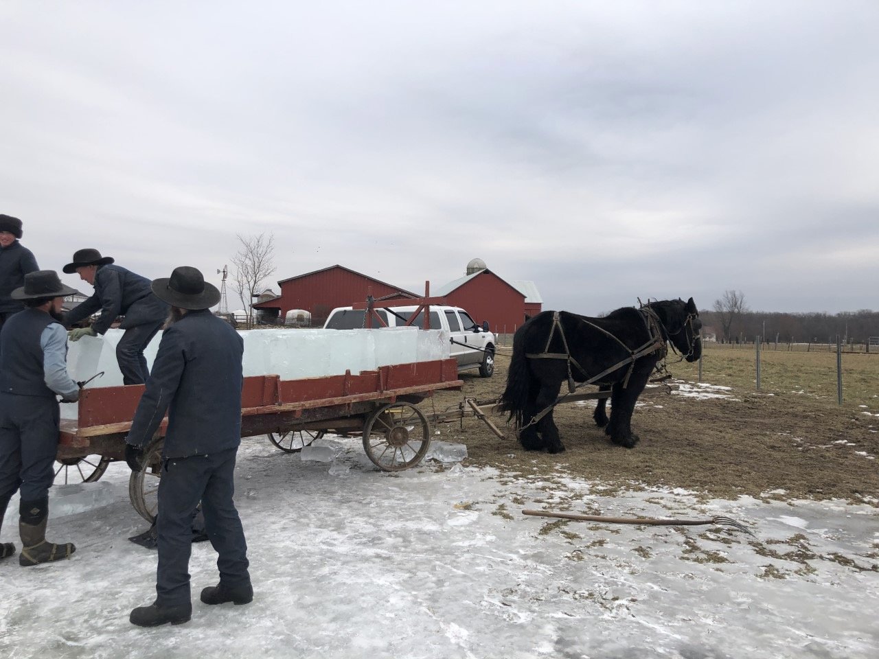 Amish - 1 of 1.jpeg