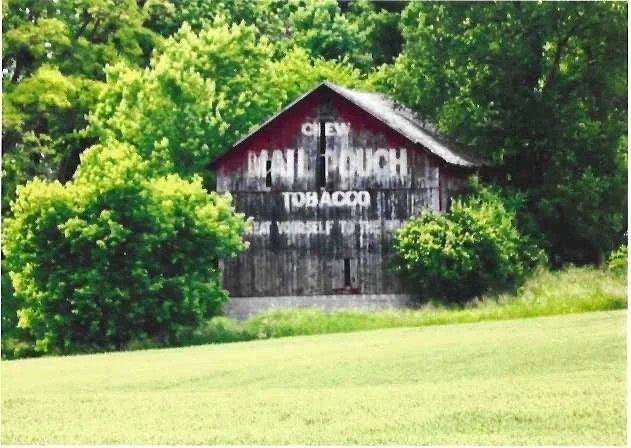 for Meijer - 1 of 1.jpeg