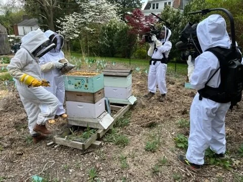 90100264-DE69-4E2A-BB00-8C4E66816D21_4_5005_c.jpeg