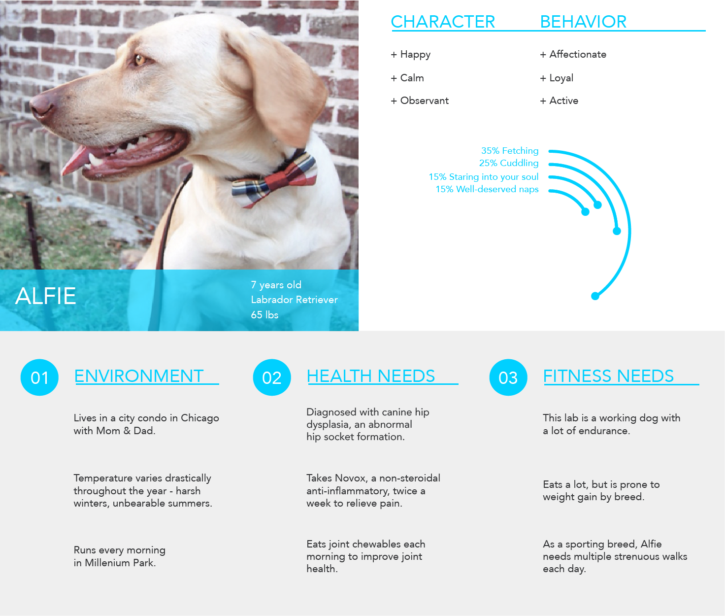 Whistle Personas-04.png