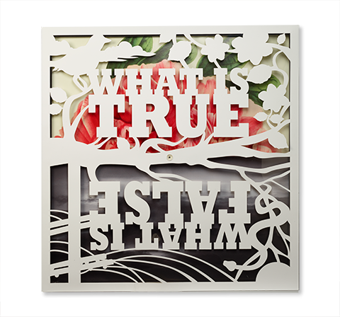 What_is_true_gallery_true.png