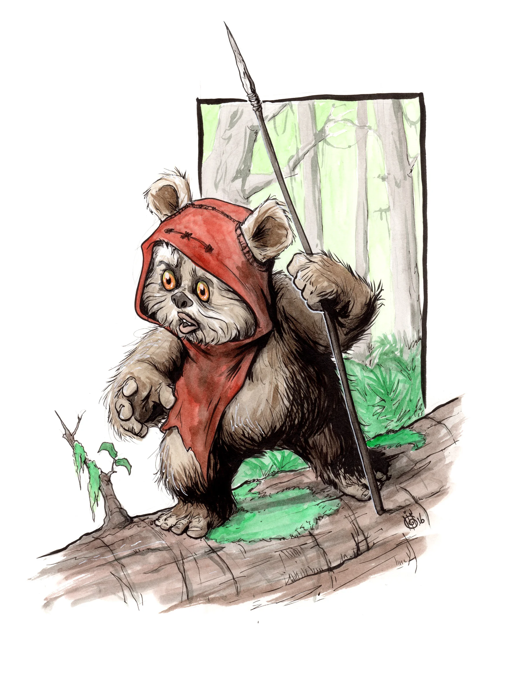 ewok_01.jpg