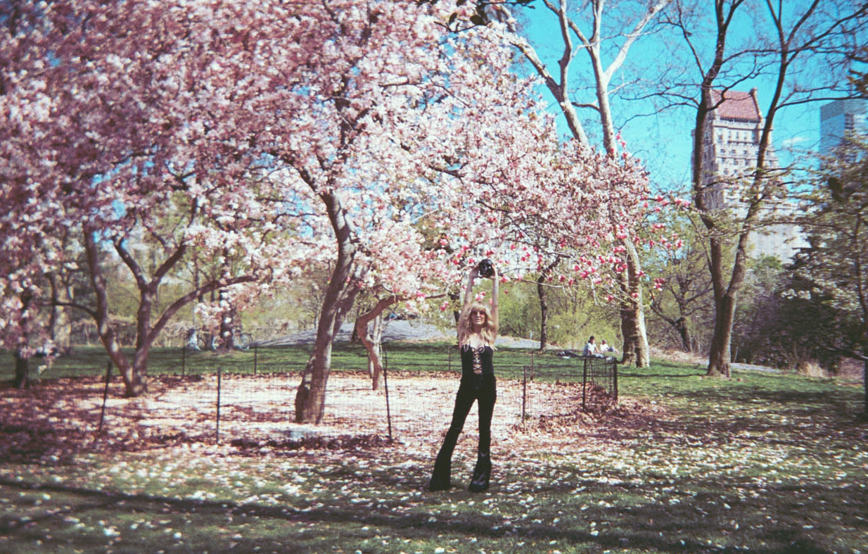 tree2.jpg