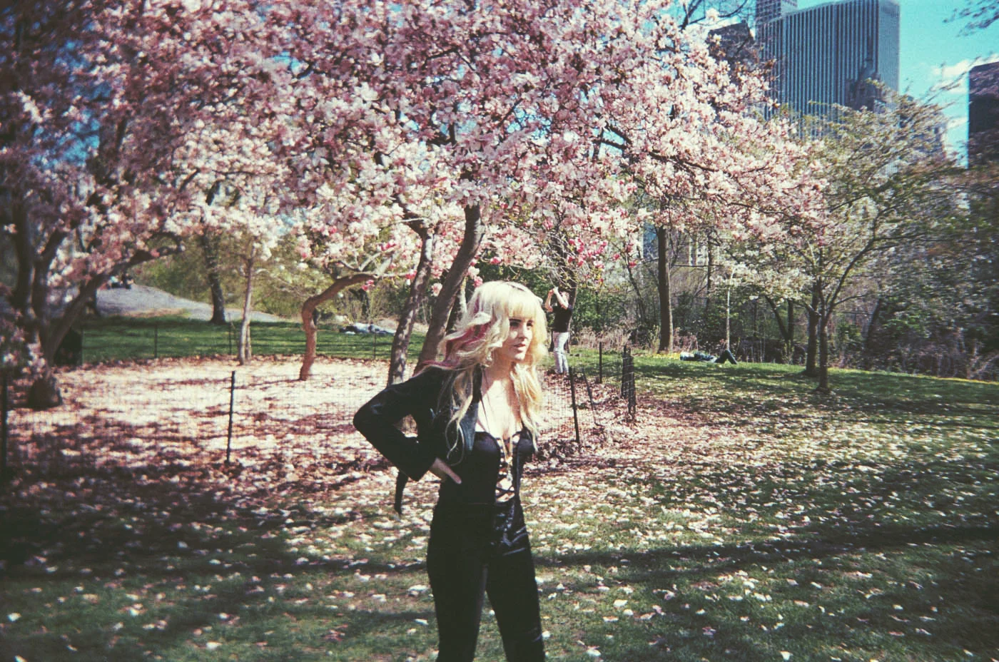 tree7.jpg