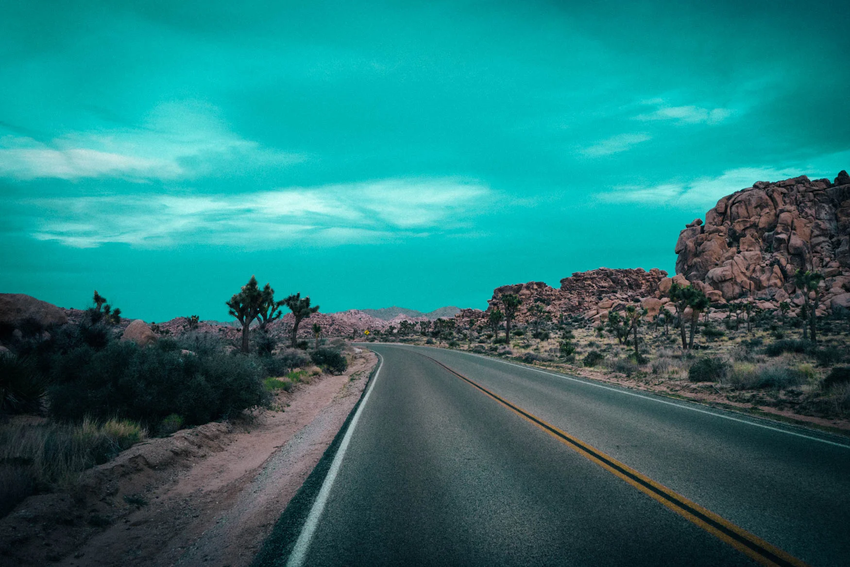 davidaronson_desert-2.jpg