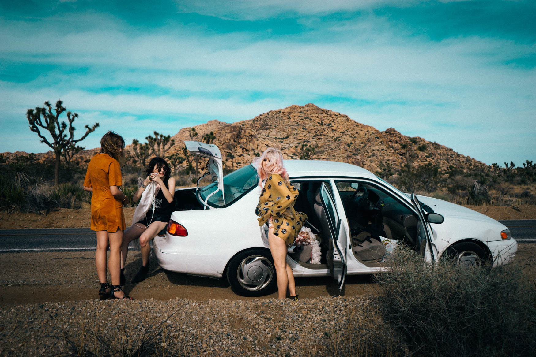 davidaronson_desert-3.jpg