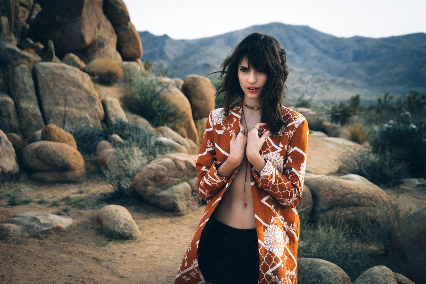 davidaronson_desert-6.jpg