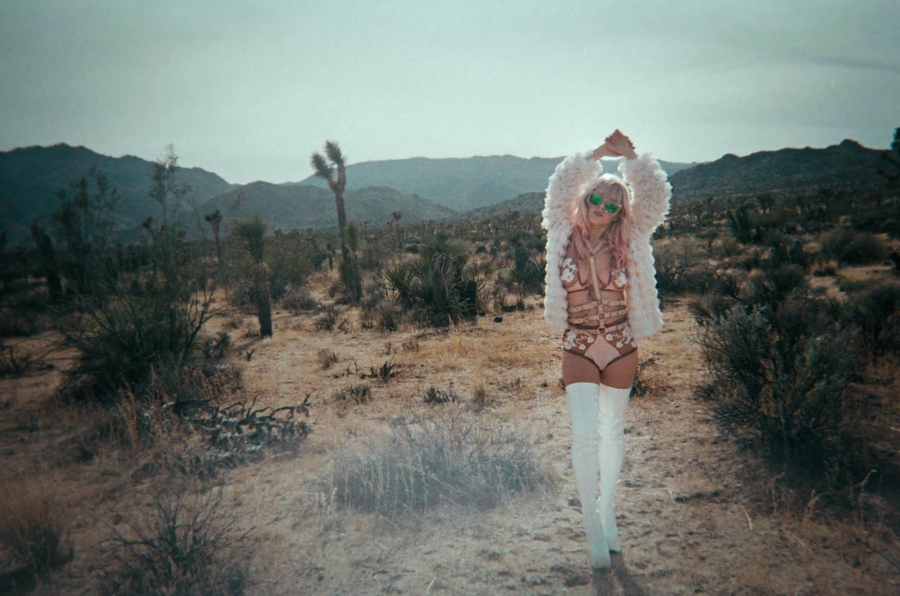 davidaronson_desert-9.jpg