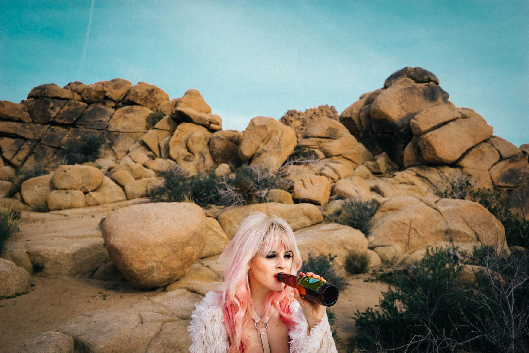 davidaronson_desert-11.jpg