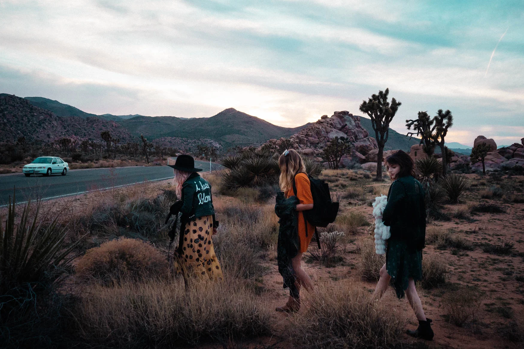 davidaronson_desert-19.jpg