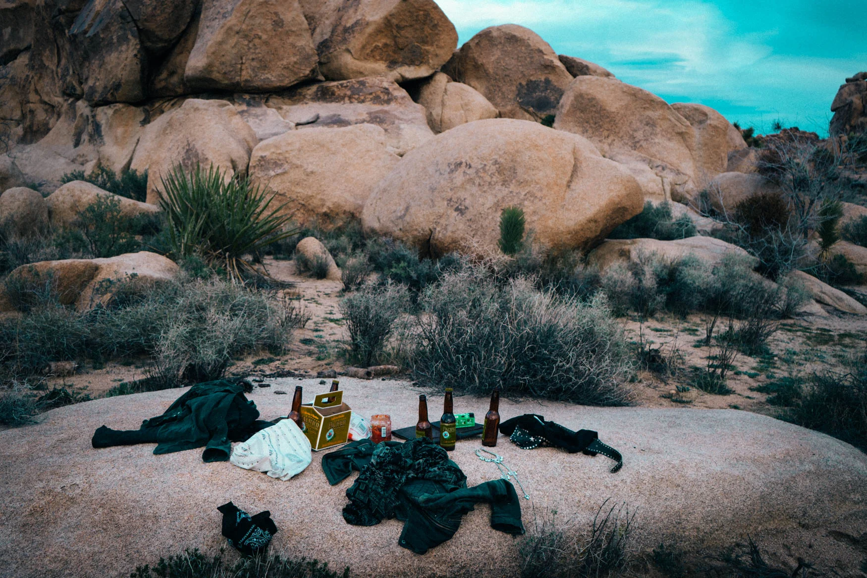 davidaronson_desert-20.jpg