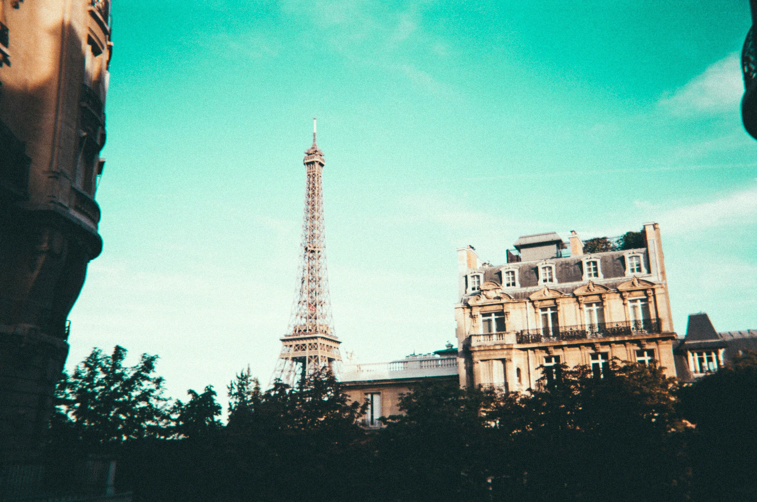 pariseditorial8.jpg