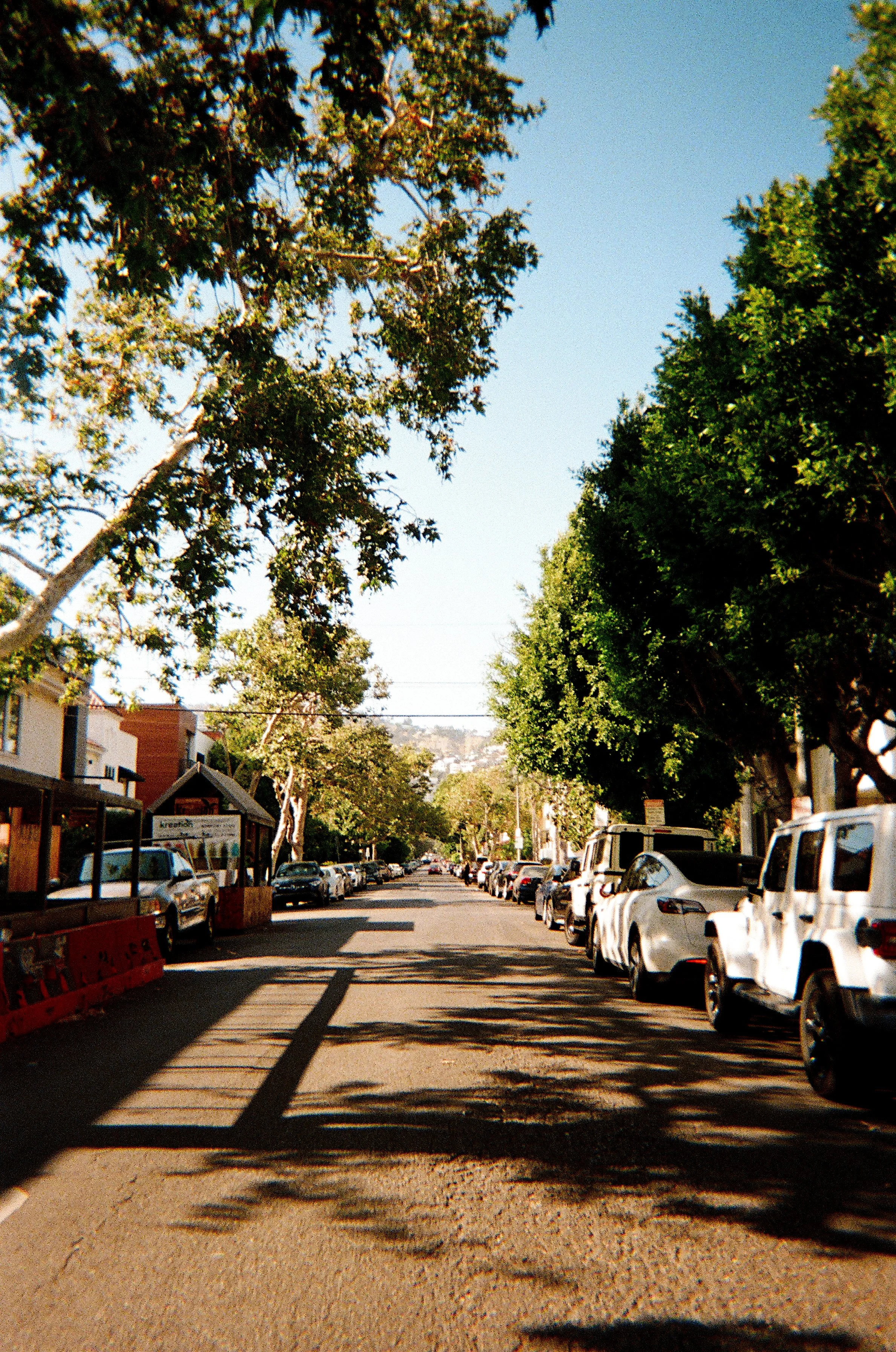 image00003.jpeg