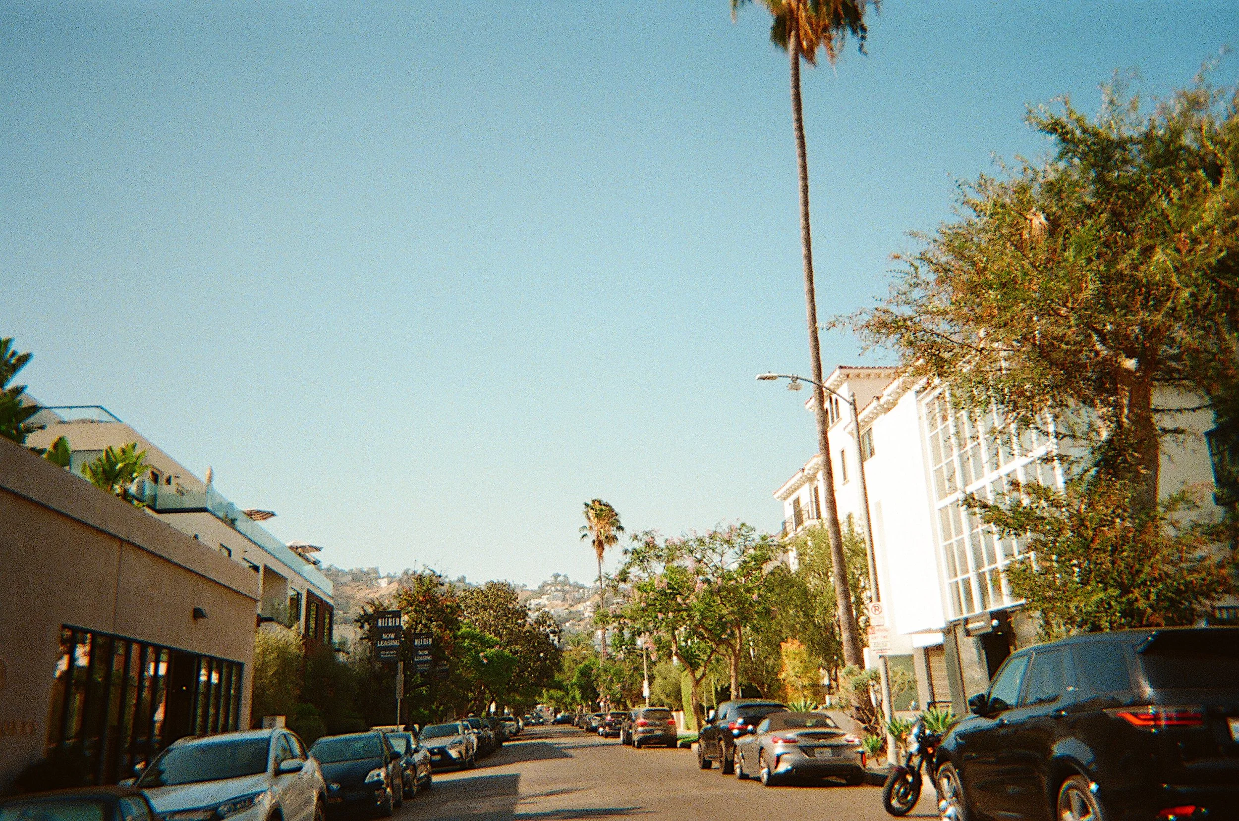 image00005.jpeg