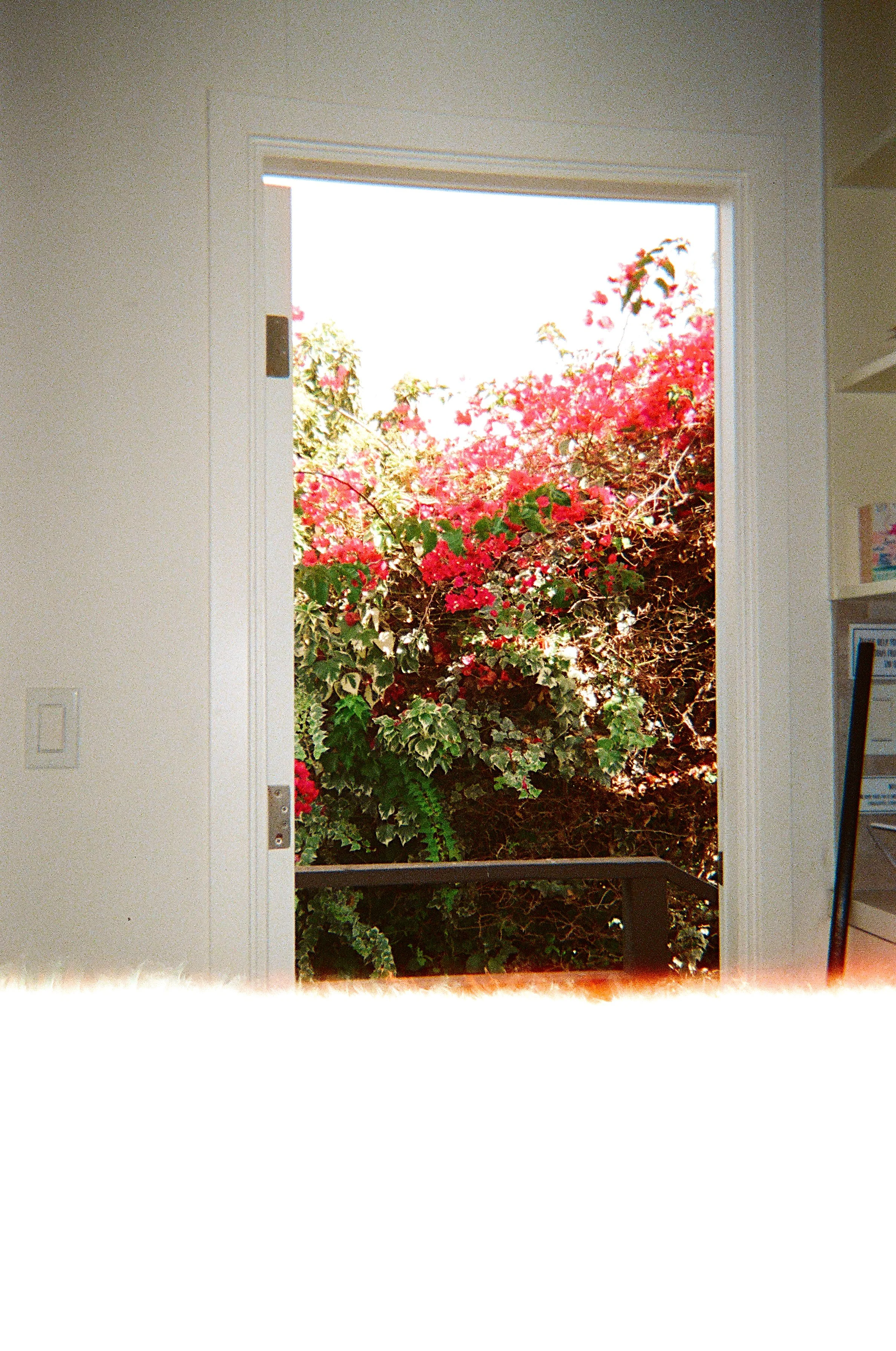 image00026.jpeg