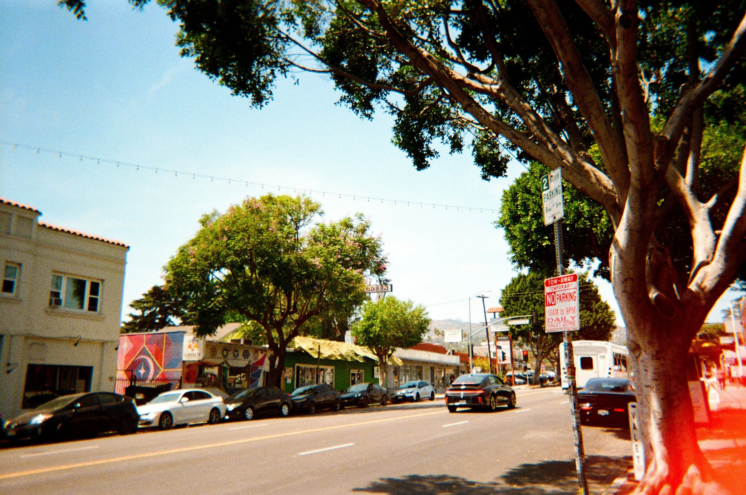 image00030.jpeg