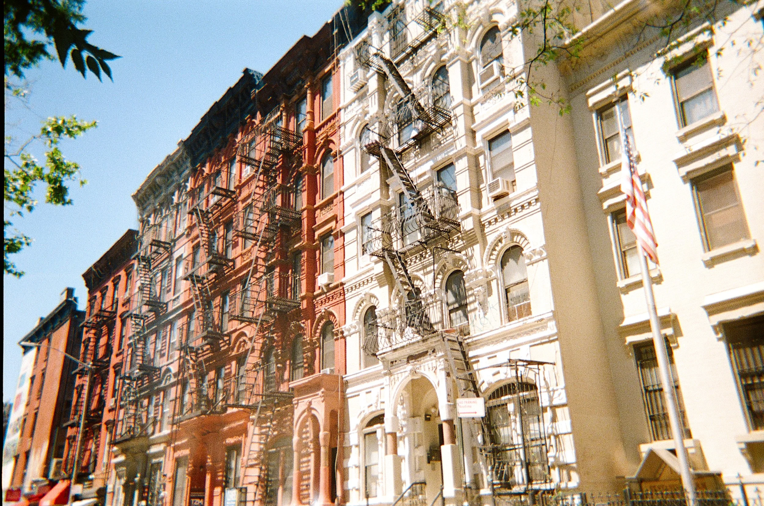 image00005.jpeg