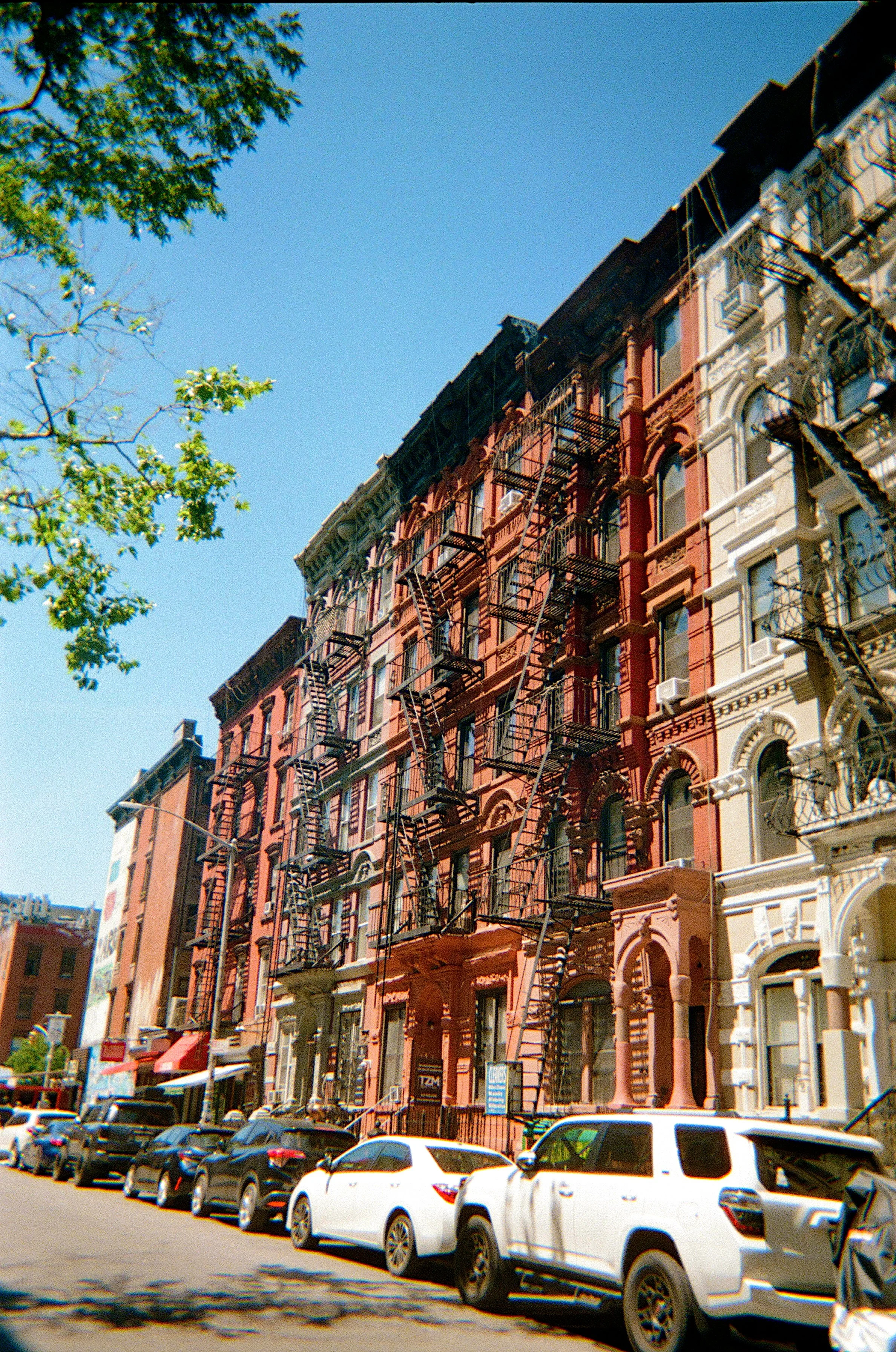 image00014.jpeg