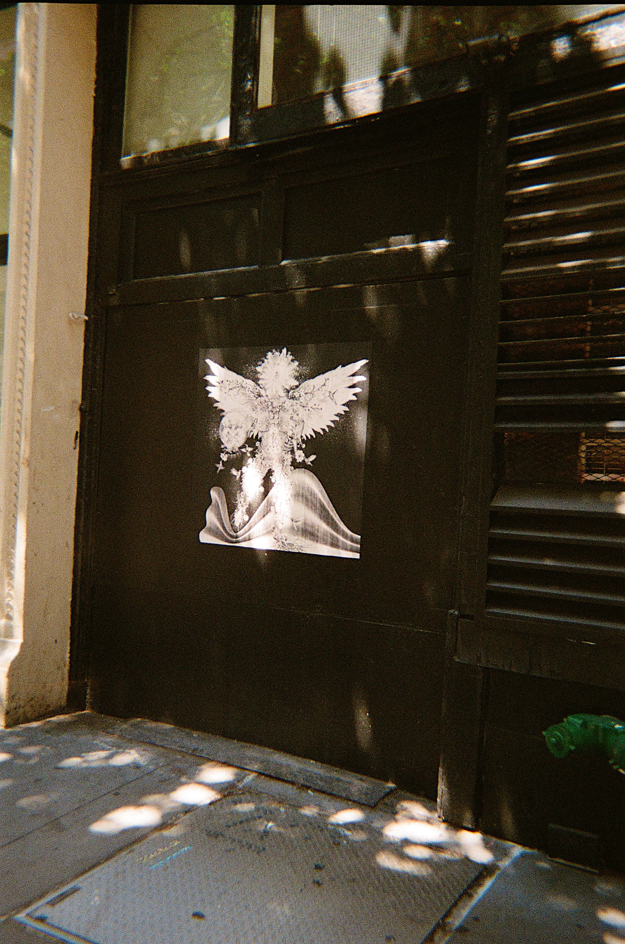 image00009.jpeg