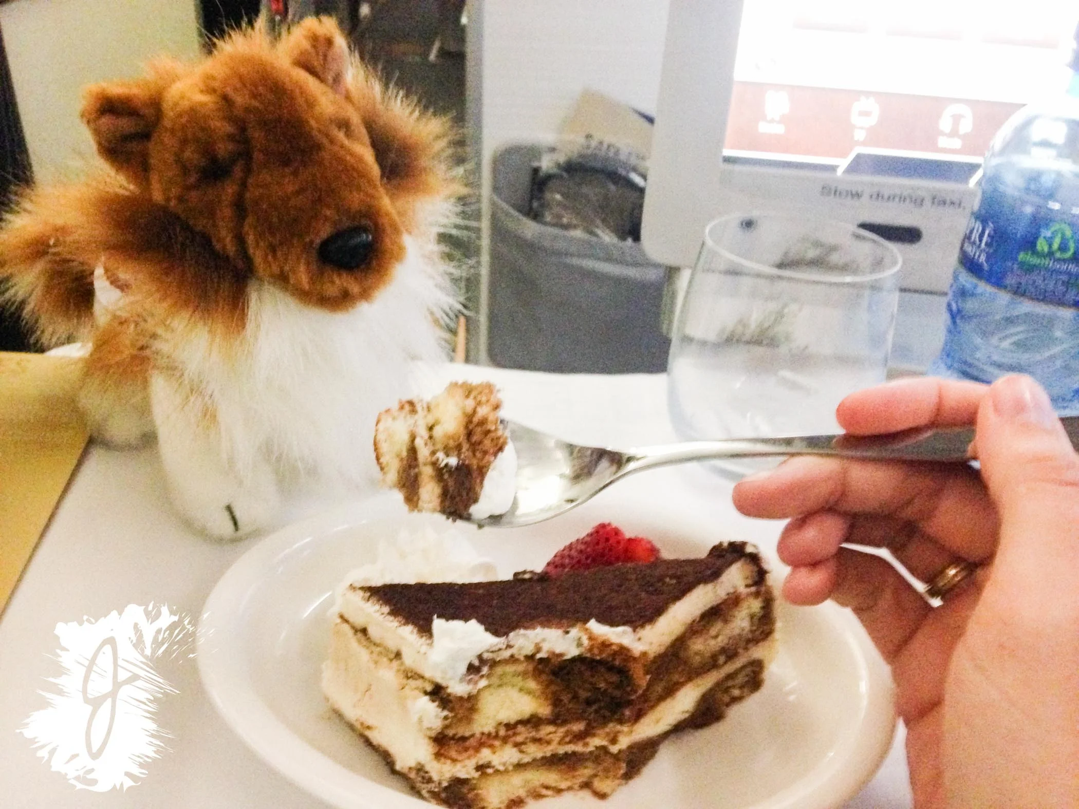  Reveille enjoying the&nbsp;amazing tiramisu.&nbsp; 