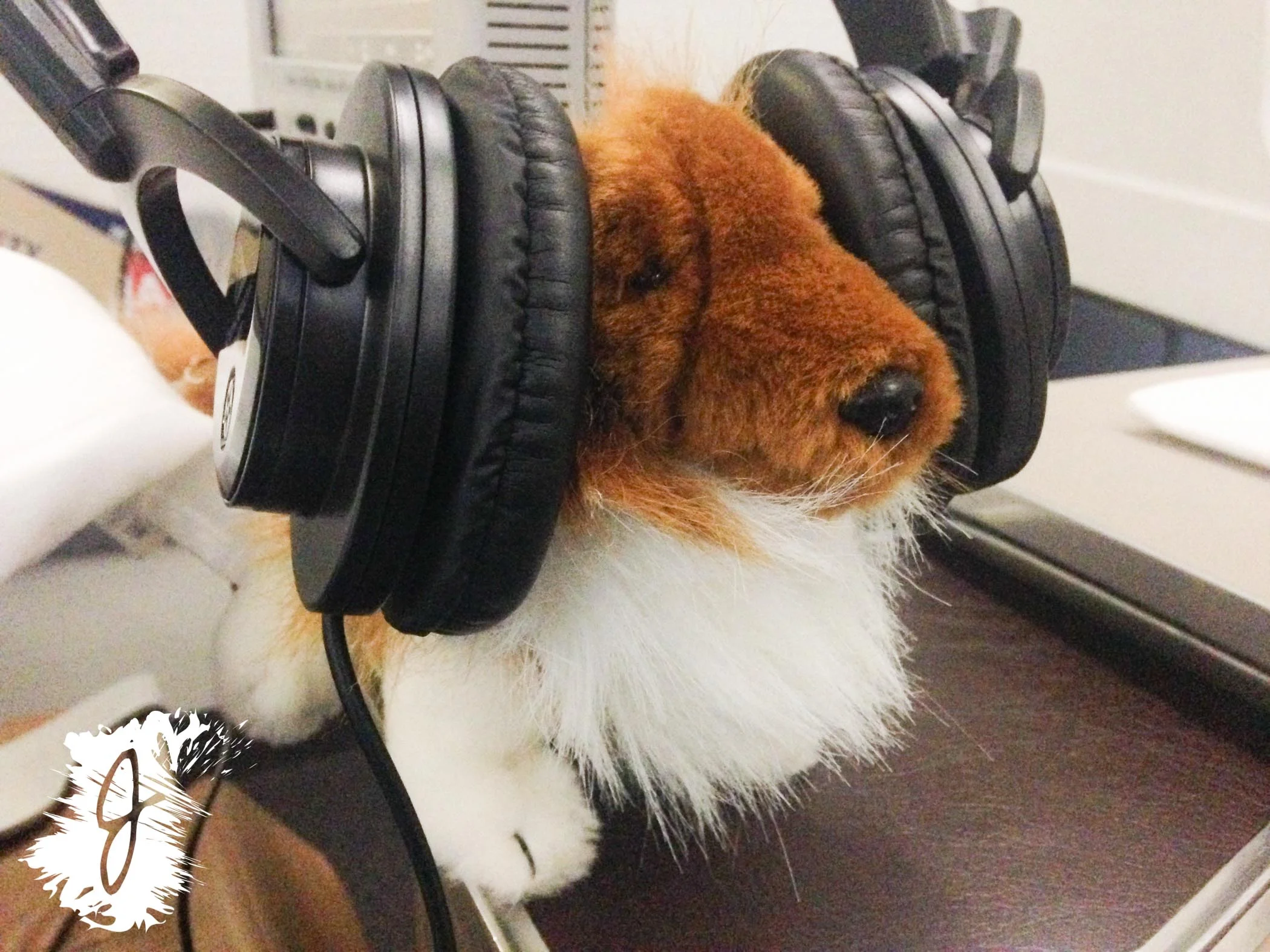  Rev enjoying some good ol' country music. 