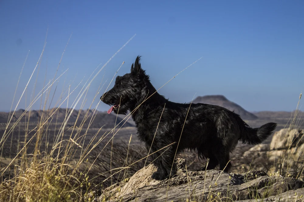 Canon EOS REBEL T323048.JPG