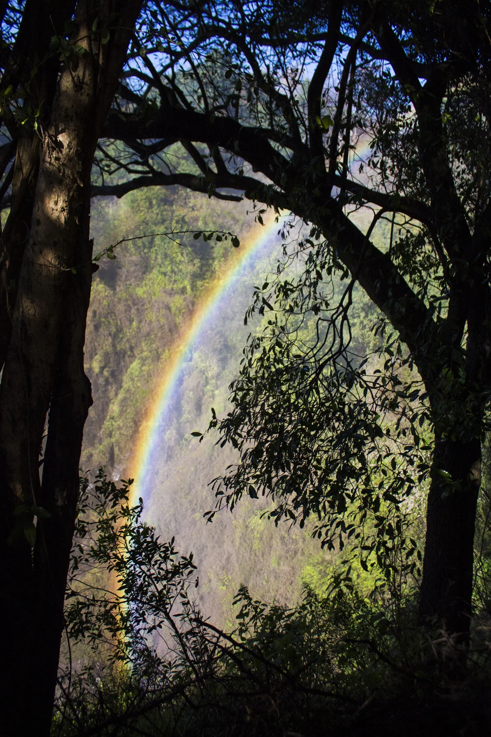 Canon EOS REBEL T364446.JPG