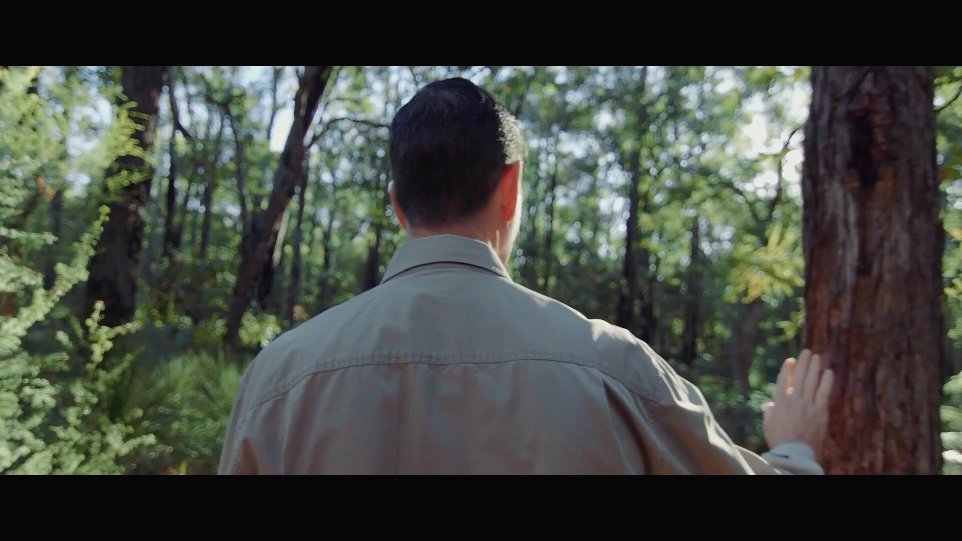 A Few Words About Our Cinematography