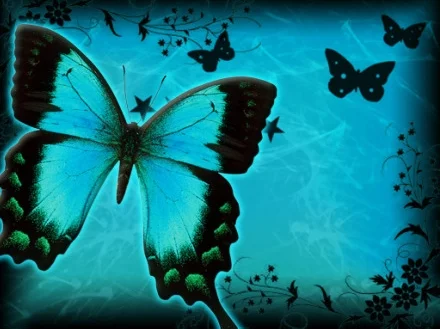 Spirit Led Compassion