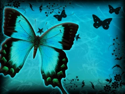 Spirit-Created Unity