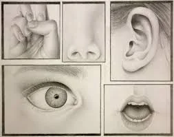 Blind in Ways We Can't See